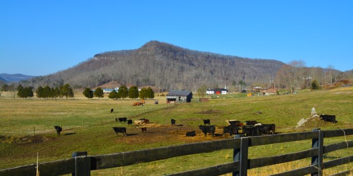 kentucky-2875388_1280